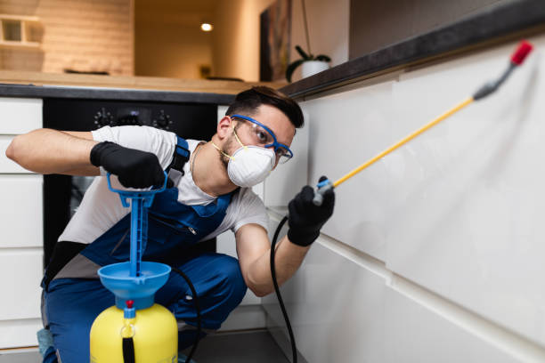 Best Pest Inspection Near Me  in Progress Village, FL