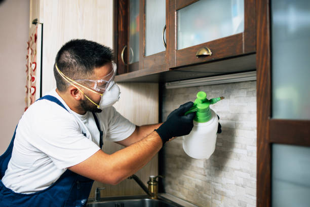 Best Best Pest Control Companies  in Progress Village, FL