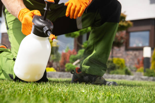 Professional Pest Control in Progress Village, FL